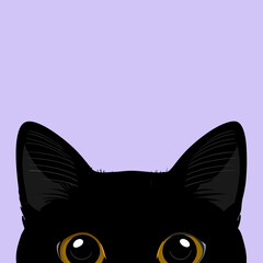 black cat face