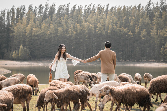 sheep and Bride