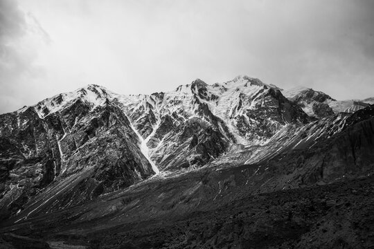 Wild argali sheep traversing the desolate Kunlun Mountains plateau, Xinjiang - symbol of resilience in China's harsh high-altitude ecosystems