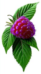 Vibrant raspberry on leaves