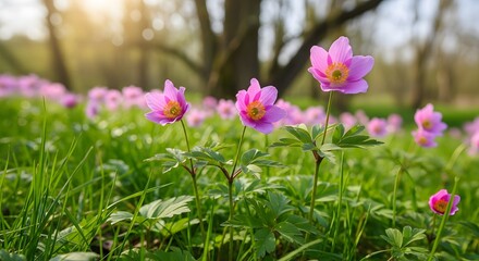 Stunning Pink Spring Flowers Blooming in a Lush Green Meadow