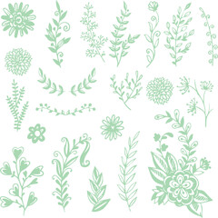 Beautiful flower art and mandala vector design