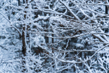 250317秋山郷の雪景色