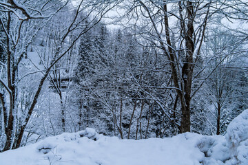 250317秋山郷の雪景色