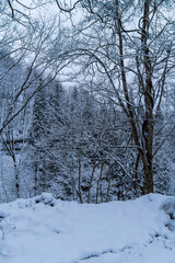 250317秋山郷の雪景色