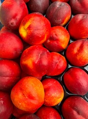 Full screen background of bright and ripe nectarines. Harvest concept.