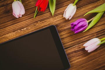 Flat design showing tablet lying at angle on wood desk, tulip blooms are adding colorful accent © vectorfusionart