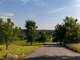 A paved road in the middle of a grassy field with trees on both sides