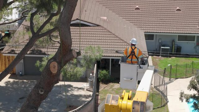 Tree Trimmer in a Cherry Picker