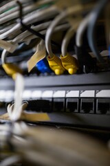 Colorful Ethernet cables are connecting to rack switch in flat design, showing port labels