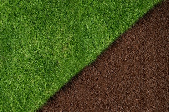 Fototapeta Flat design illustration is showing diagonal split between vibrant green grass and rich brown soil
