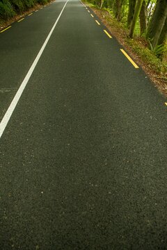Fototapeta Flat design is showing asphalt road running through forest with white line, yellow edge markings