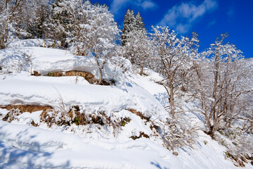 250320秋山郷の雪景色（快晴）