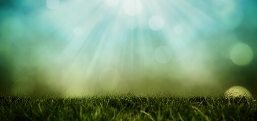 Obraz premium Dense green grass blades are catching soft light green sunlight bokeh in flat design meadow scene