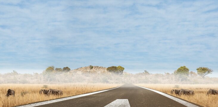 Fototapeta Flat design showing paved road leading to horizon through misty savanna with arrow