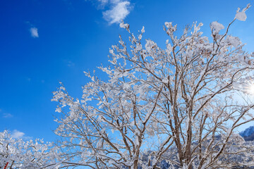 250320秋山郷の雪景色