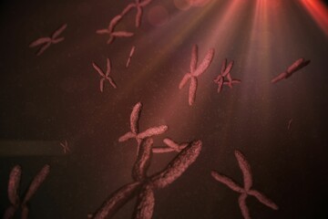 X-shaped chromosomes are floating in red fluid with particles and light rays in flat design