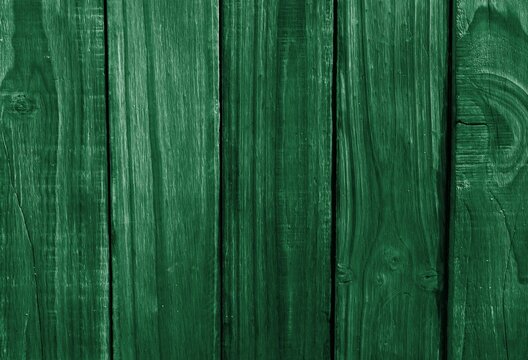 Fototapeta Vertical wooden planks are being shown in flat design, with wood grain under dark green paint