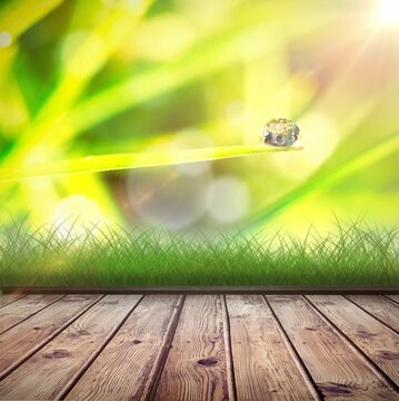Fototapeta Wooden floor against dew on grass