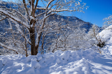 Fototapeta premium 250320秋山郷の雪景色