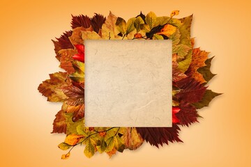 Fototapeta premium Flat design blank paper is being shown on peach-orange gradient with autumn leaves border