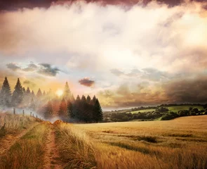 Fototapete Rund Flat design countryside is showing dirt track beside grass and fence posts toward misty pine forest © vectorfusionart