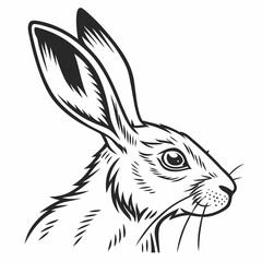 Bunny Face with Pointed Ears Vector