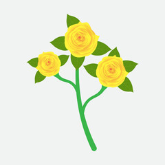 For a Floral Art or Illustration: