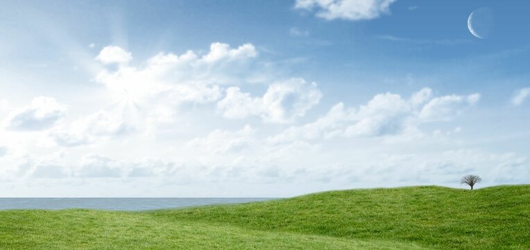 Fototapeta Solitary bare tree is standing on green hills in flat design, showing sun, clouds, crescent moon
