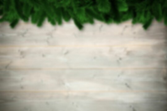 Blurred fir tree branches