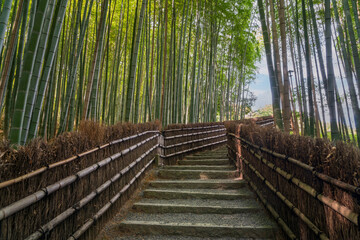 Fototapeta premium Bamboo forest on the territory of the Buddhist temple of Adashino Nenbutsuji, Arashiyama, Kyoto, Japan