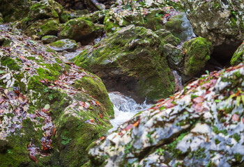 the rocky bottom of the riverbed , a walk along the river stones with an overview of the bottom...