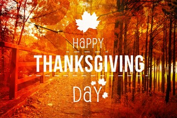Thanksgiving text against forest