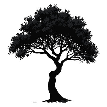 Black Silhouette Hazel Tree Vector with Broad Canopy and Clustered Leaves in Farm Nut Tree Style on White Background Full HD