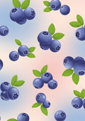 blueberries on a white background