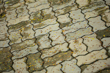 Close up shot of paving stone concrete block, in vintage grey and brown color, also with tiny...
