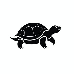 vector illustration of tortoise
