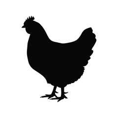 Chicken silhouette vector illustration, farm animal icon, poultry bird symbol, black isolated design

