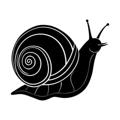Illustration of a snail with a patterned shell in black and white art