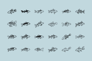 Dojo Loach, aquarium fish line art illustration