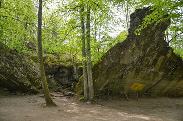 remains of buildings, trees, the concrete town of bunkers Wolf's Lair in Gierłoż near Kętrzyn