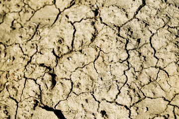 Dried Mud