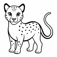 baby Leopard on white background 