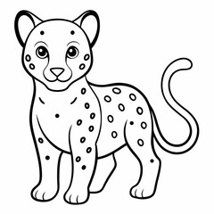 baby Leopard on white background 