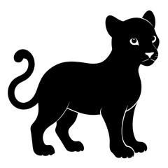 baby Leopard on white background 