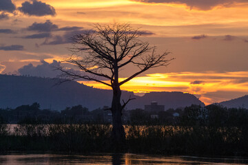 Mali MCESG advertising campaign shoot