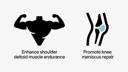Obraz premium The deltoid and meniscus icons represent the enhancement of shoulder deltoid endurance and the promotion of knee meniscus repair, used for shoulder training and joint maintenance scenarios.