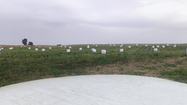 Paja recolecci&oacute;n en cultivo agr&iacute;cola de heno trigo cebada maiz