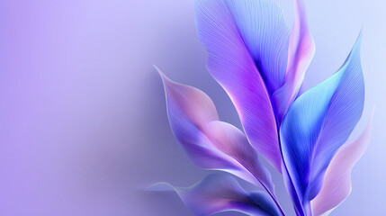 purple iris flower