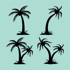 tropical palm trees and palms